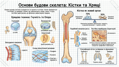 09024vxl-bf52-385x217.png