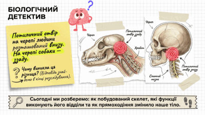 09024w07-ad87-400x225.png