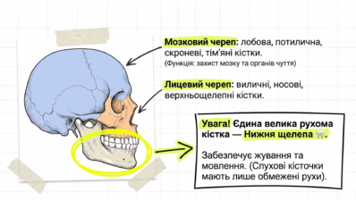 09024w0d-c3a0-398x224.png