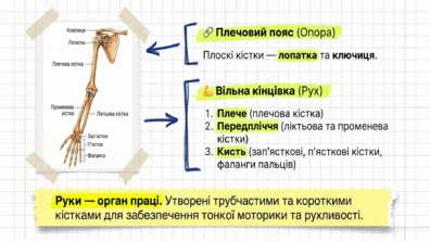 09024w0l-2311-396x223.png