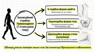 09024w0t-2c7f-395x223.png