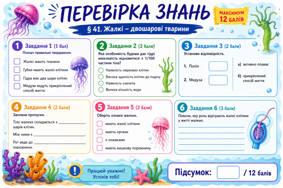09024whi-d04d-940x627.png