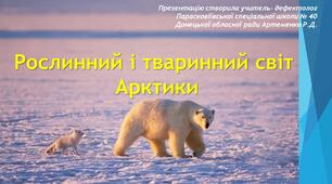 Презентація до теми "Рослинний і тваринний світ Арктики"
