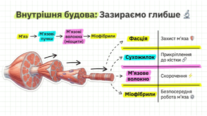 09024yuh-a40f-414x233.png