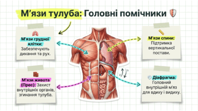09024yv6-c680-393x221.png