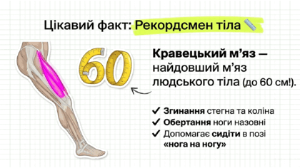 09024yv7-c93e-420x236.png