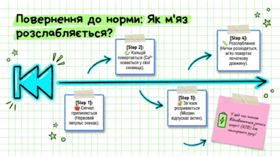 09024yvw-9705-396x223.png