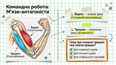09024yw3-7884-397x223.png