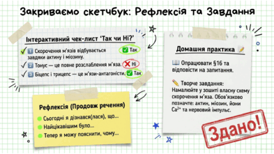09024yw9-d878-393x221.png