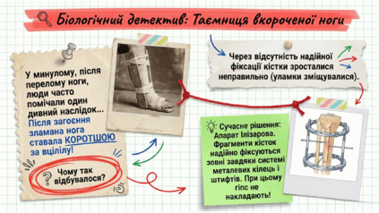 09024yy3-7952-423x238.png