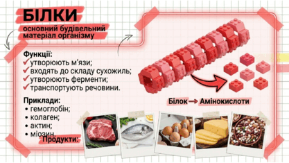 090250ll-2491-417x235.png