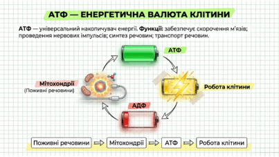 090250lp-9d3e-403x227.png