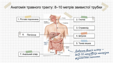 090250tx-2352-383x215.png