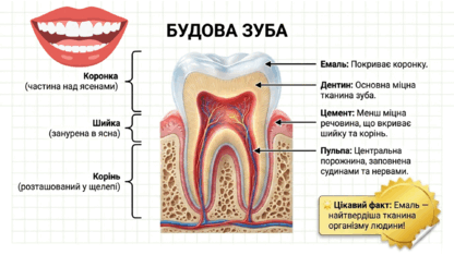 090250u8-1254-416x234.png