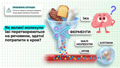 090250xk-f960-397x224.png