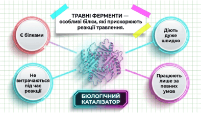 090250xu-2161-394x222.png