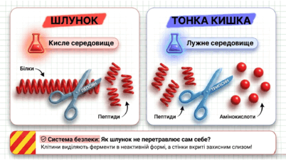 090250y6-29de-402x226.png