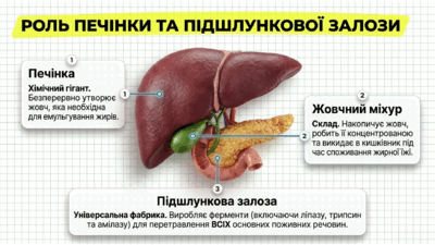 090250yd-c723-400x225.png
