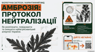 27 червня - Міжнародний день амброзії