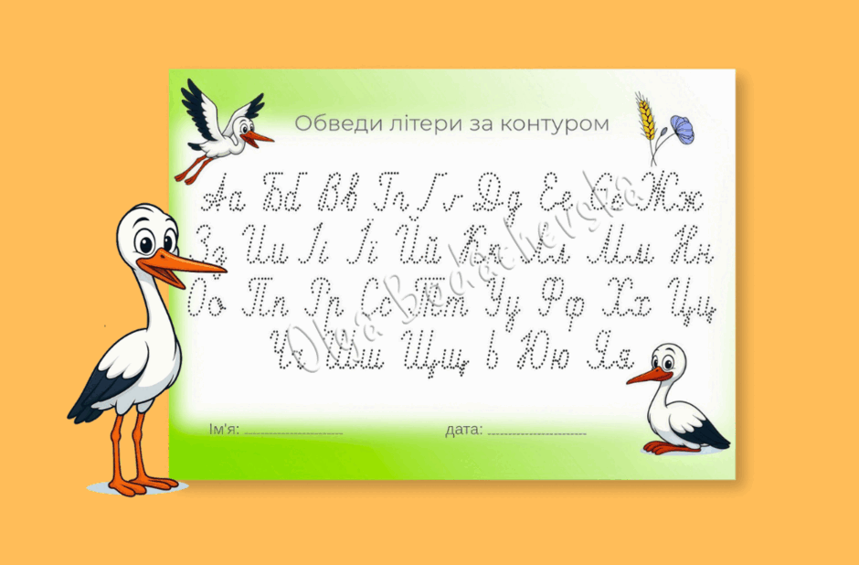 09025343-d98d-940x618.png