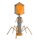 090253ya-f33b-147x159.png