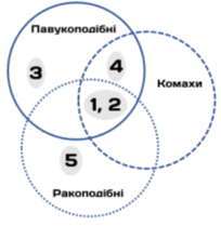 09025480-9242-204x209.png
