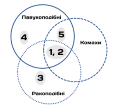 09025481-9076-232x219.png