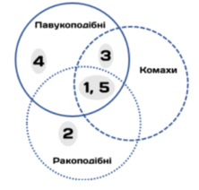 09025482-04f7-222x212.png