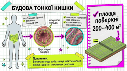 090254ru-67b0-416x234.png