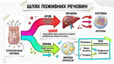 090254s3-0604-389x219.png