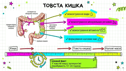 090254s8-32c2-420x236.png