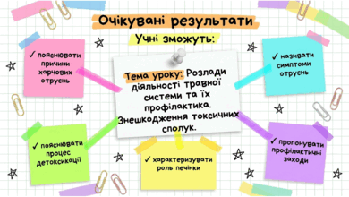 090254tw-3e5a-390x220.png