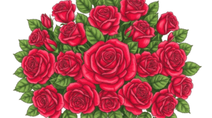 ❤️🍃🌹Розмальовка та малюнок "Троянди"💚🍃🌹🍃🌹🍃
