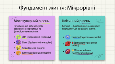 090255jj-679e-373x210.png
