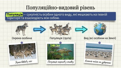 090255jl-e966-404x227.png