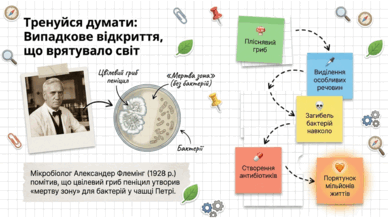 090255qp-bf60-388x218.png