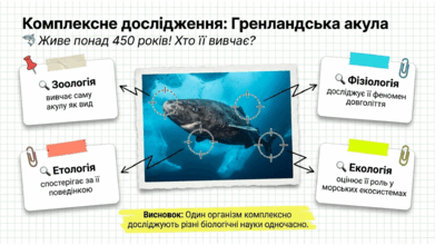 090255qv-49fa-391x220.png