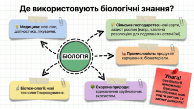 090255qx-2a26-379x213.png