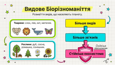 090255sr-3b14-399x225.png