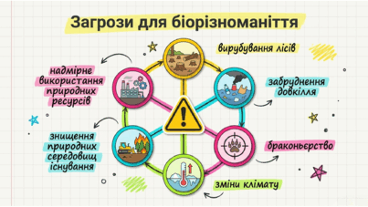 090255sv-a4de-403x227.png