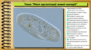 Рівні організації живої матерії. Біологія. 9 клас НУШ (2026). До підручника Балан П., Козленко О. та ін.
