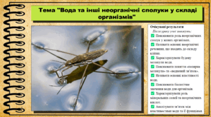 Вода та інші неорганічні сполуки у складі організмів. Біологія. 9 клас НУШ (2026). До підручника Балан П., Козленко О. та ін.