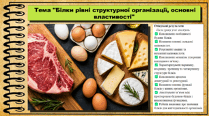 Білки: рівні структурної організації, основні властивості. Біологія. 9 клас НУШ (2026). До підручника Балан П., Козленко О. та ін.
