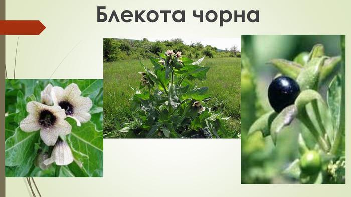 https://images.openai.com/static-rsc-4/NpPZEq6FzO59BKv3GodEUObmeHheO4Oao9qfw4lwC1hLTkan-wP91iuArzZx8YbTpndI_HrC_TLYBmK1P0HRJrP5pjI9ri6Z9vWjOfMyZRWExuZ-0iWTEybY7uikuwnb8yeyXHmsOyXFJsBIYAFNtppctOt43Ma2dhde5yRHgAVLNWNwQOGakMgh6RPjDQTY?purpose=fullsize