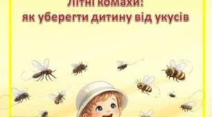 Консультація для батьків «Літні комахи: як уберегти дитину від укусів»