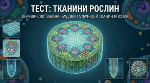 Тканини рослин