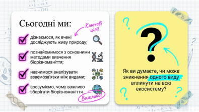 0902596o-482a-395x222.png