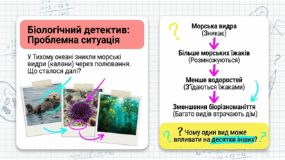 0902596r-c29d-412x232.png