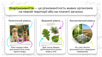 0902596u-37c7-395x222.png