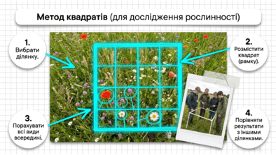 09025973-c135-394x222.png